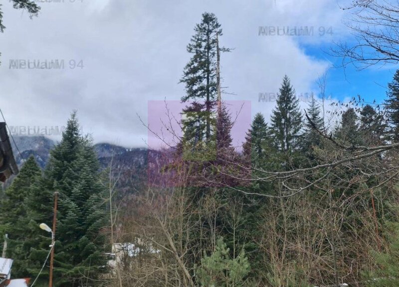 Vila de vanzare in Sinaia - Zona Cumpatu